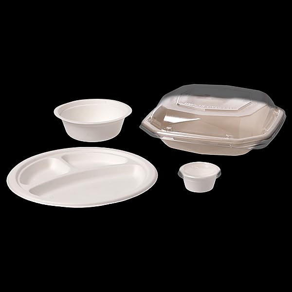 Teller und Schalen aus Bagasse